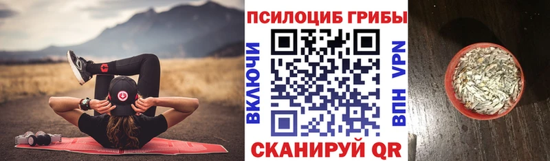 цена наркотик  Козловка  Псилоцибиновые грибы мухоморы 